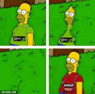 amdnvidia.jpg