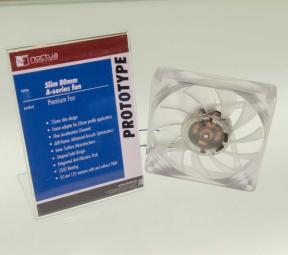 Noctua 217a.jpg