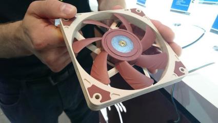 Noctua 216a.jpg