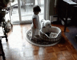 giphy (10).gif