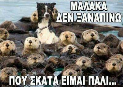 FB_IMG_1487193685783.thumb.jpg.e5258d038