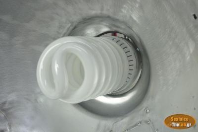 33_0233 (1)-large.jpg