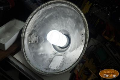 34_0236 (1)-large.jpg