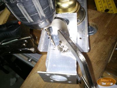 37_1073 (1)-large.jpg