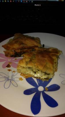 WhatsApp Image 2017-05-04 at 13.31.39.jpeg