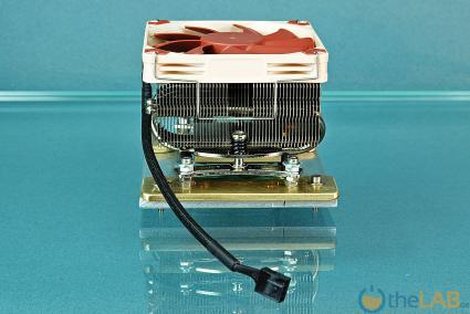 Noctua-NH-L9x65-SE-AM4_B8_0406.jpg