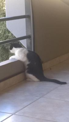 WP_20170820_09_04_36_Pro 1.jpg