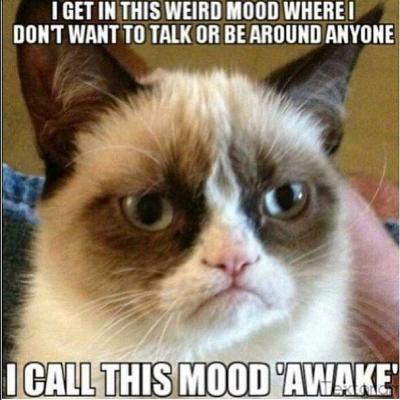 2239f15300062b322f02d190565a66f0--grumpy-cat-meme-grumpy-kitty.jpg