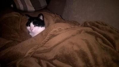 WP_20161209_21_27_26_Pro_LI (Medium).jpg