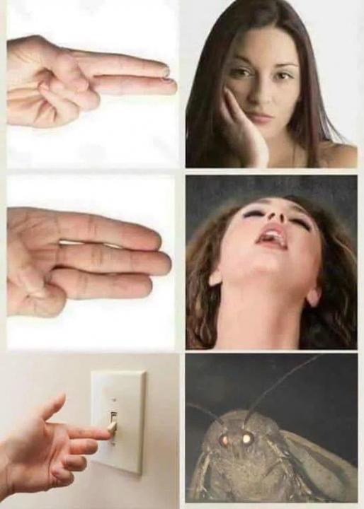 Meme-of-the-moth.thumb.jpg.4bd3eb0c5e8a6190aef009df2cf520c4.jpg