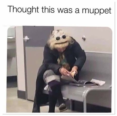 muppet.thumb.jpg.1ec853d31cb4aa03413eaa3ccfea112c.jpg