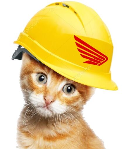 depositphotos_100118218-stock-photo-red-cat-with-helmet.thumb.jpg.bda93d357ea779007455d0412deeb02a.jpg