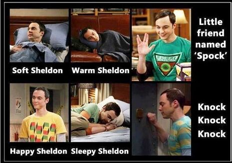 sheldon.thumb.jpg.776e9d8e7645d28f58ddc56a16776365.jpg