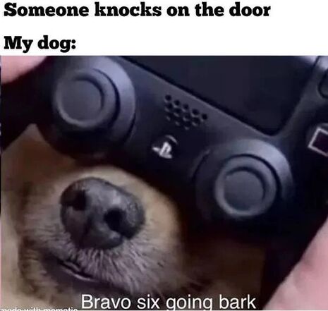 Loud-bark-noises.jpg