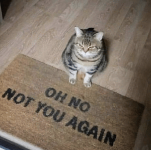 thumb_oh-no-not-you-again-60845750.png.262c4eed73e3f70c0b41a6dadd81793b.png