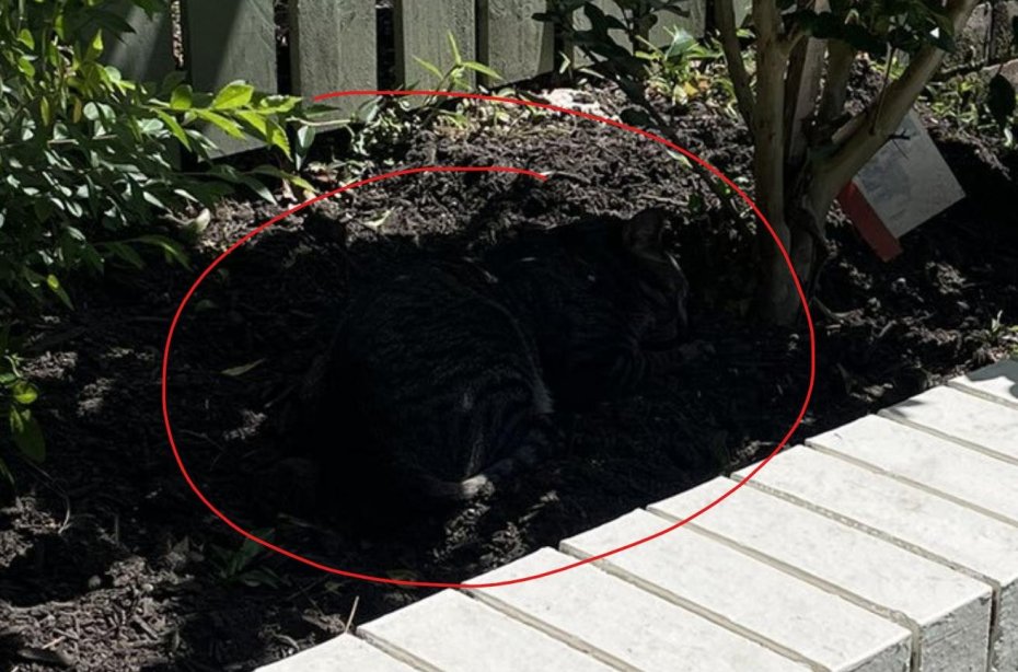 Screenshot 2022-11-08 195117.jpg