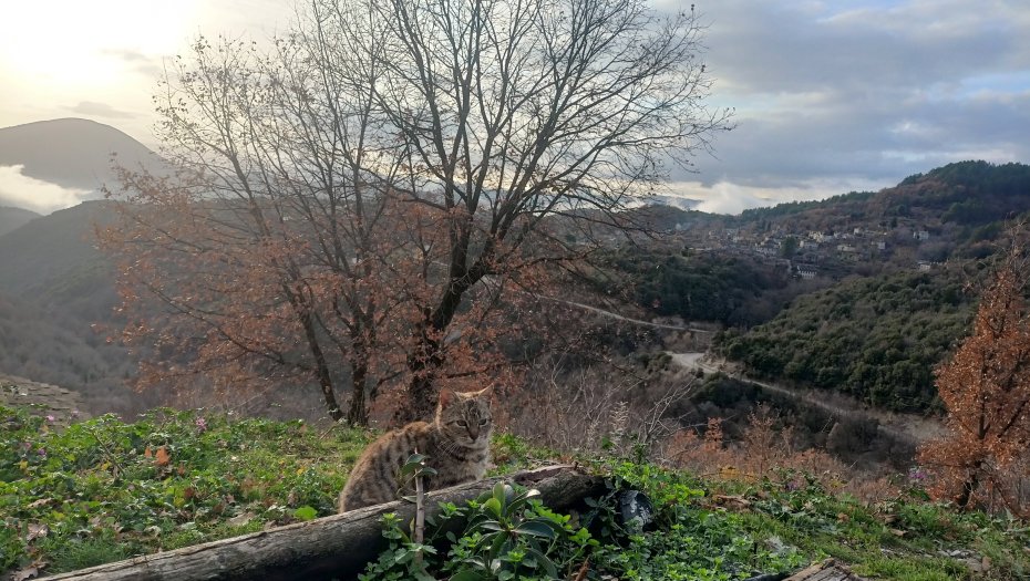 IMG20221218160548 (1).jpg