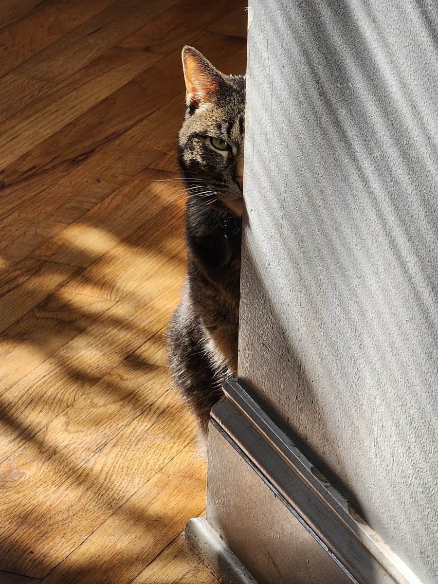 2 words. Protect yourselves..jpg