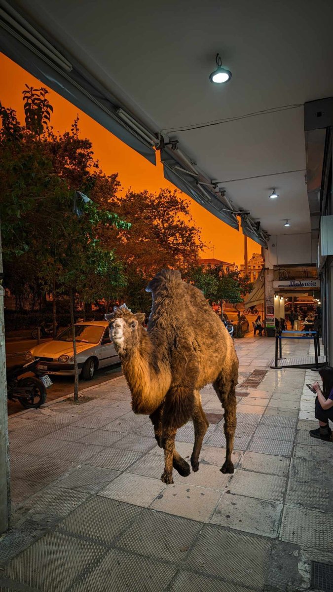 0d599263-121a-41c5-a93d-19acbdb8a405 copy.jpg