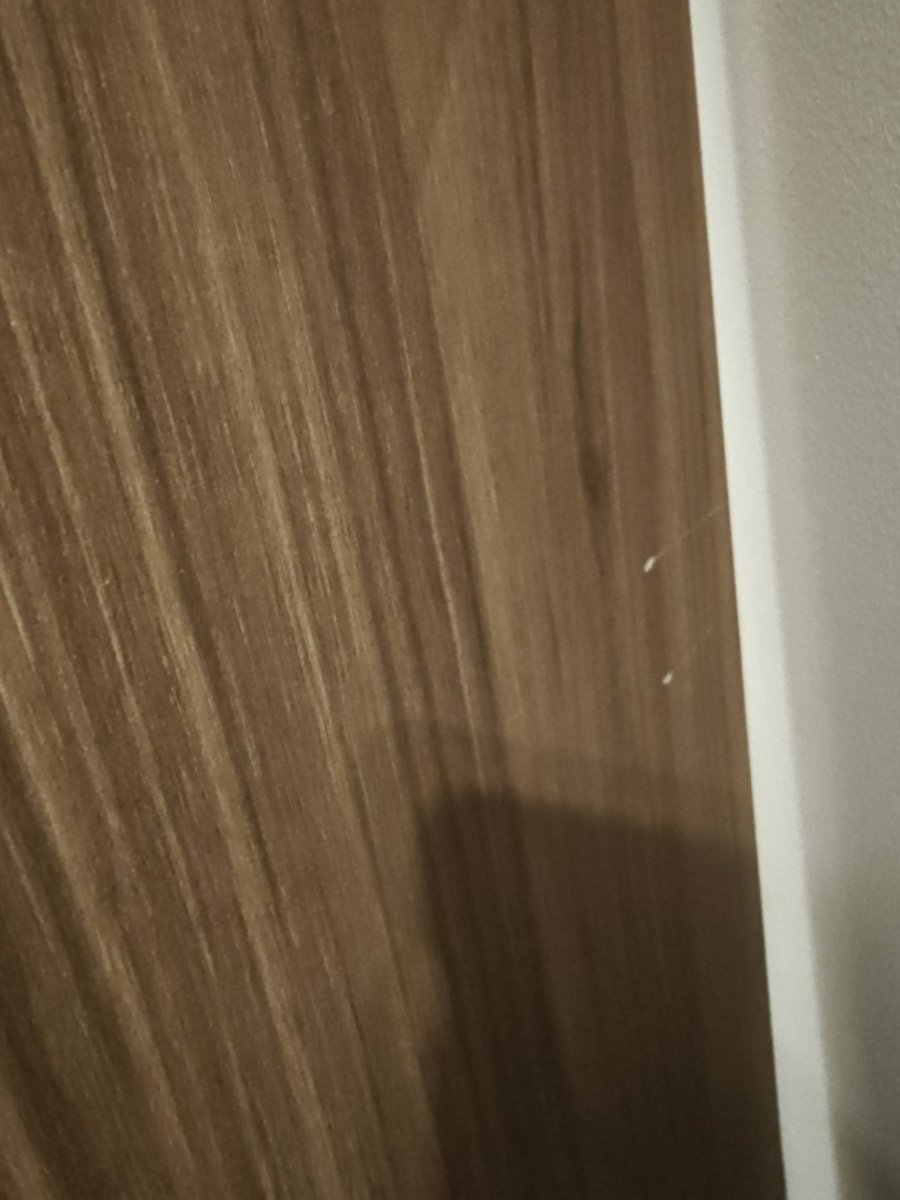 IMG20260503175543.jpg