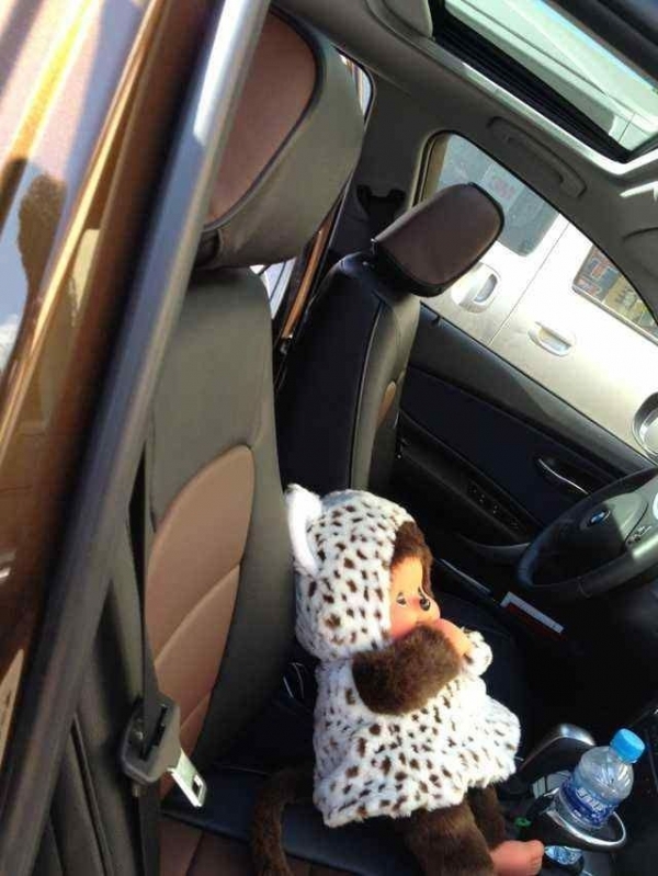 BMW 1 Series eZee fit covers Seat Surgeons