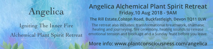 Angelica Alchemical Plant Spirit Retreat