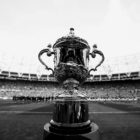 Rugby World Cup 2019 Competition