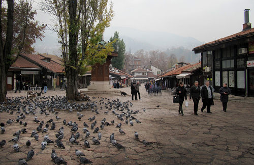 Pigeons in old town of Sarajevo