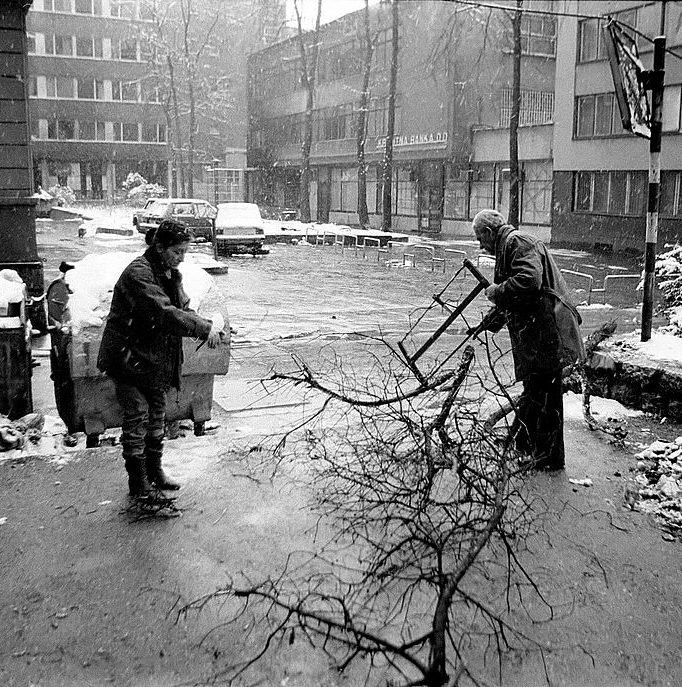 People collecting wood