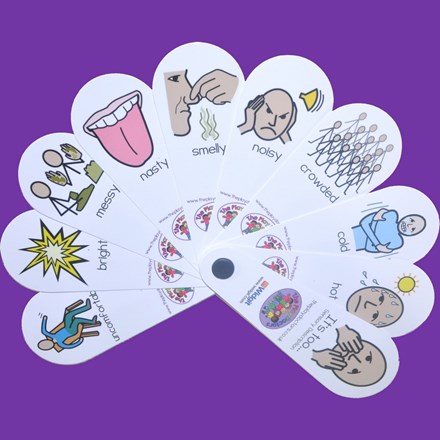 It's Too Sensory Description Fan Set of 10 It's Too Sensory Description Fan Set of 10