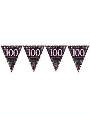 Pink Celebration Happy 100th Birthday Flag Banner
