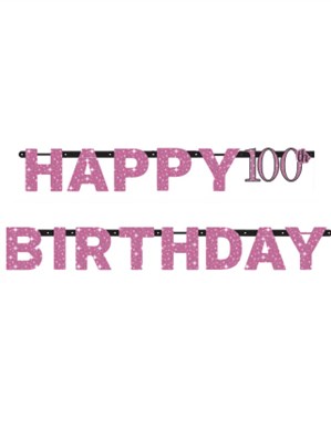 Pink Celebration Happy 100th Birthday Letter Banner