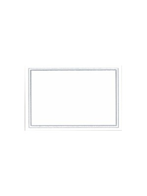 White & Silver Place Cards 10pk