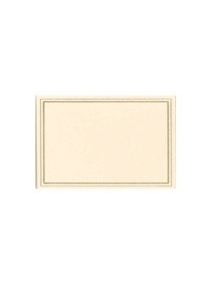 Ivory & Gold Place Cards 10pk