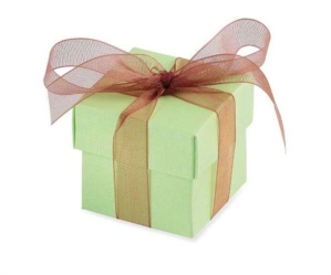 Apple Favour Boxes 10pk