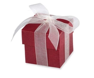 Burgundy Favour Boxes 10pk