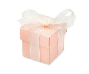 Coral Favour Boxes 10pk