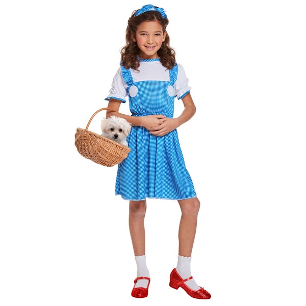 dorothy fancy dress child
