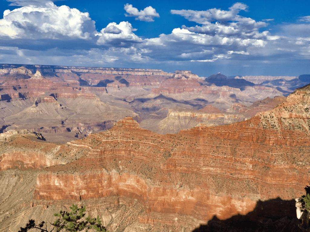 southwest road trip joshua tree