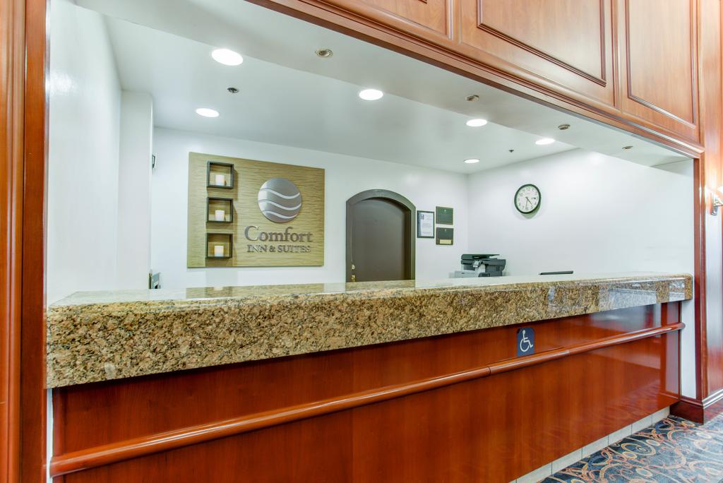 Comfort Inn Suites San Francisco Airport North Book Comfort