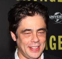 Benicio Del Toro