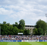 Hertha