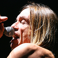 Iggy Pop
