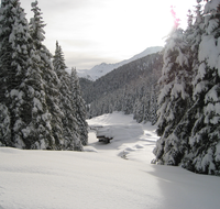 Schnee