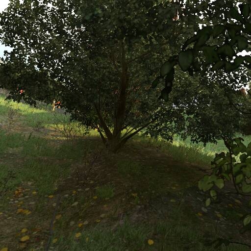map_thumbnail