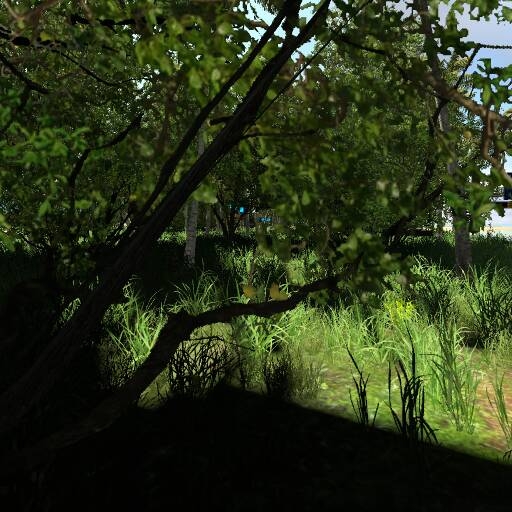 map_thumbnail