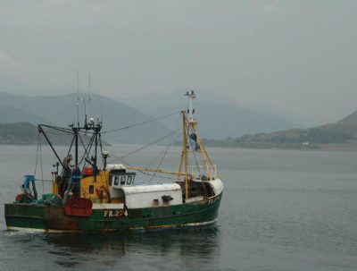 Total Shetland assets