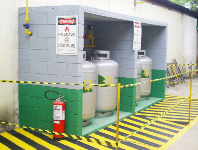 Brazilian NOC Petrobras has decided not to go forward with a planned IPO of LPG business Liquigas