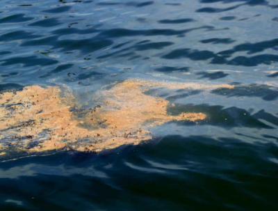 Oil spill, Mexico, Pemex