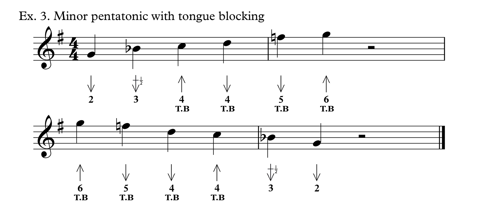 Tongue Blocking for Lip Pursers! Tomlin Harmonica Lessons